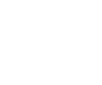 tse 2015